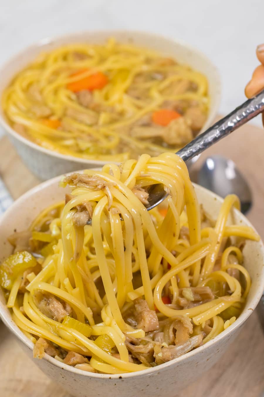 Gluten-Free Chicken Noodle Soup - A Dash of Megnut