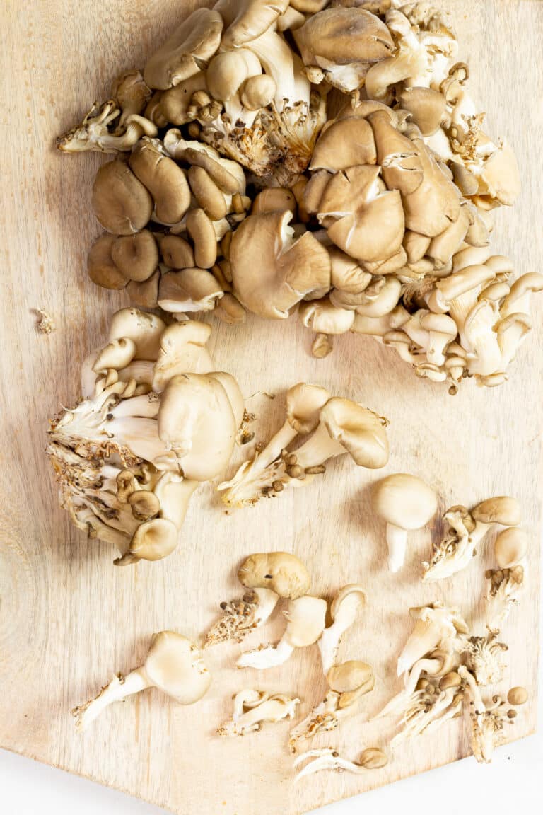 Vegan Chik'n Teriyaki with Oyster Mushrooms and Brussels Sprouts