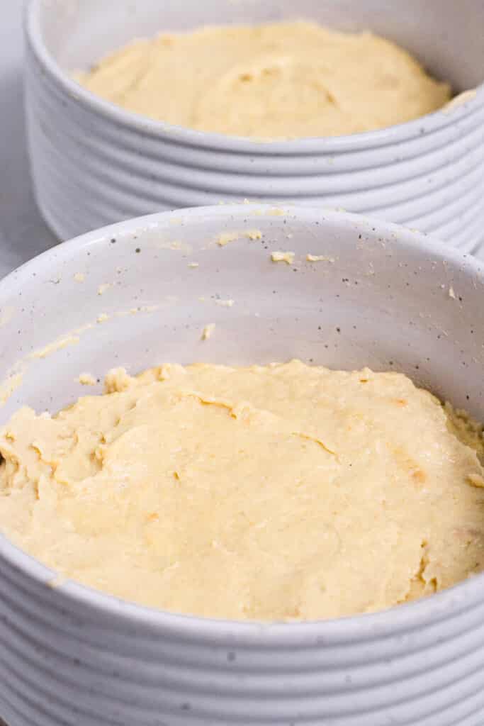 Vegan Camembert mix in sealable molds