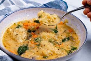 Bowl of vegan dumpling soup