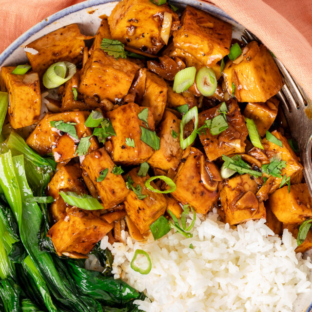 Tofu Adobo Vegan and Oilfree Recipes ZardyPlants