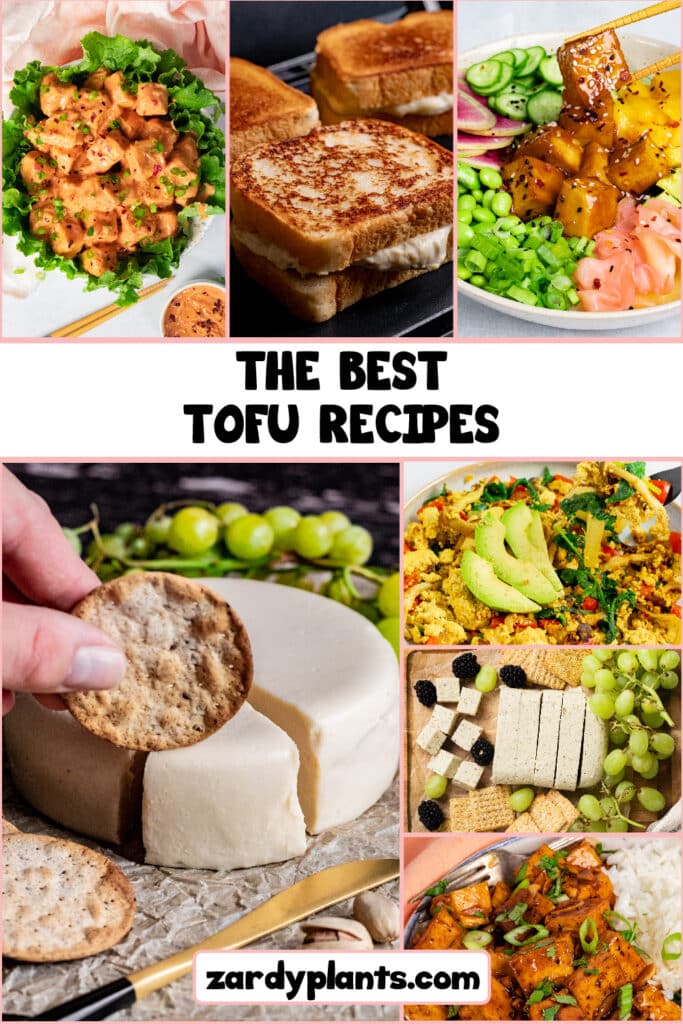 https://zardyplants.com/wp-content/uploads/2021/09/The-Best-Tofu-Recipes-02-02-683x1024.jpg