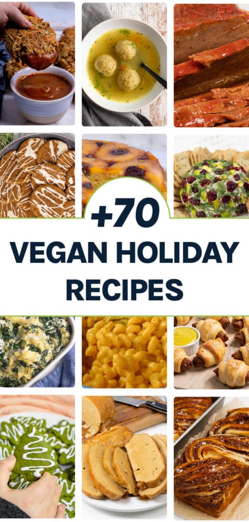 Vegan recipes hotsell for the holidays