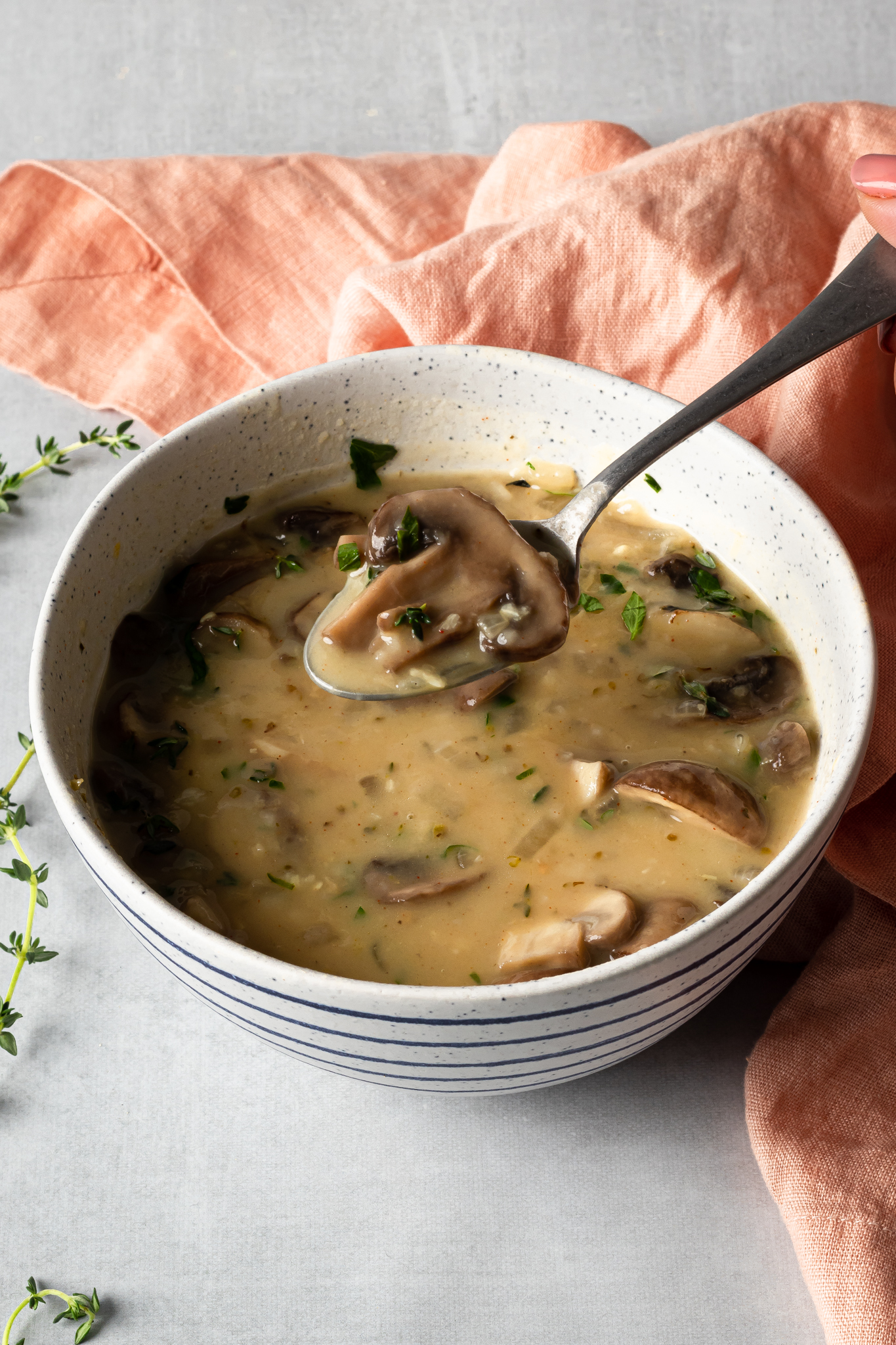 https://zardyplants.com/wp-content/uploads/2021/11/Vegan-Cream-of-Mushroom-Soup-02.jpg