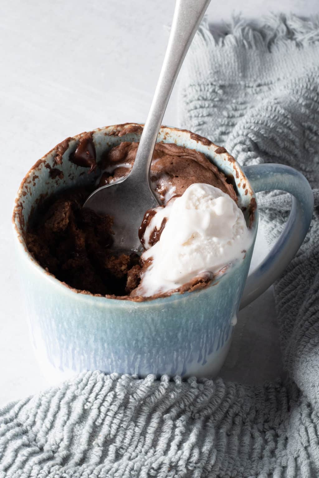 Vegan Protein Mug Cake ZardyPlants