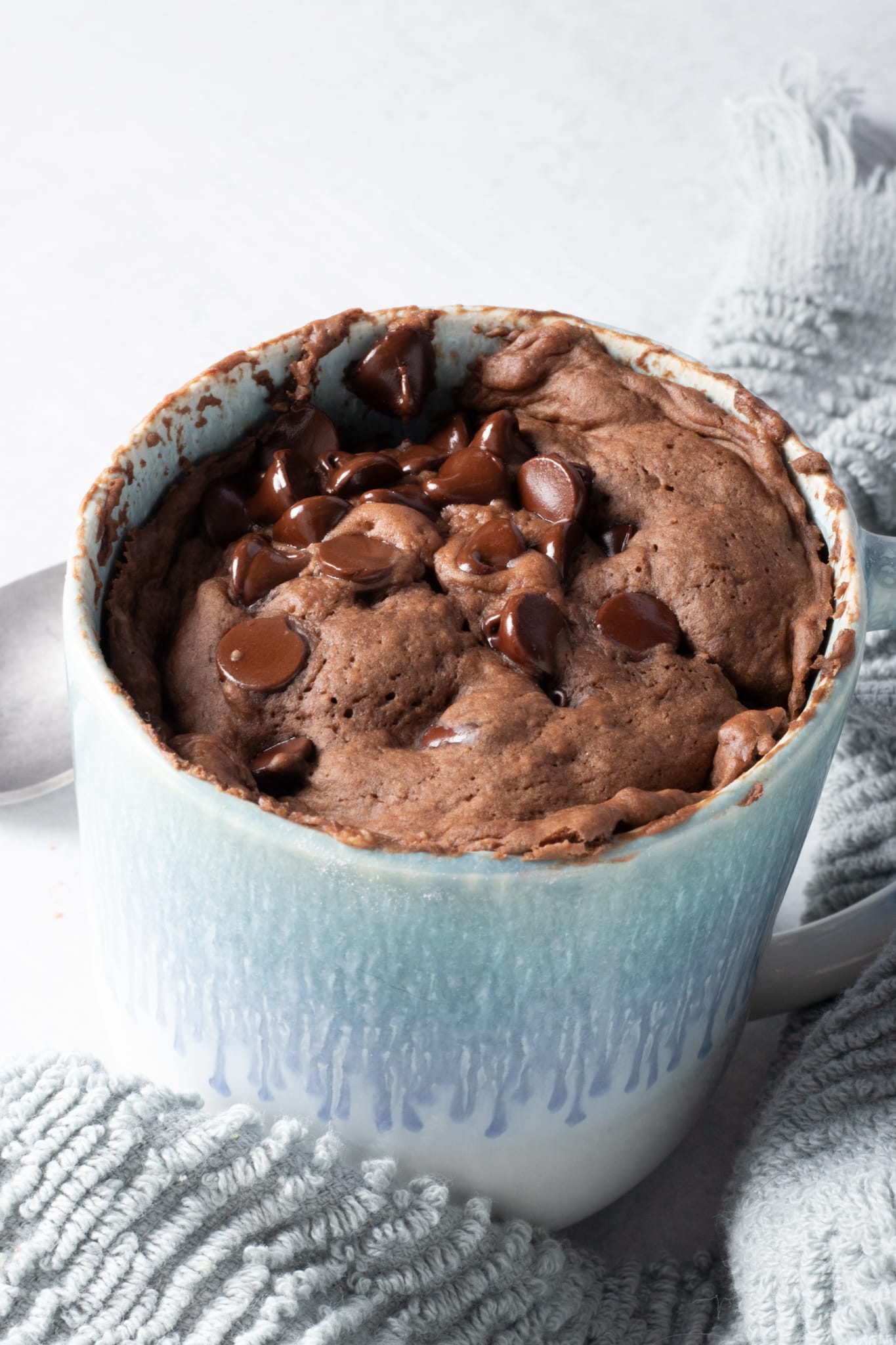 Vegan Protein Mug Cake ZardyPlants