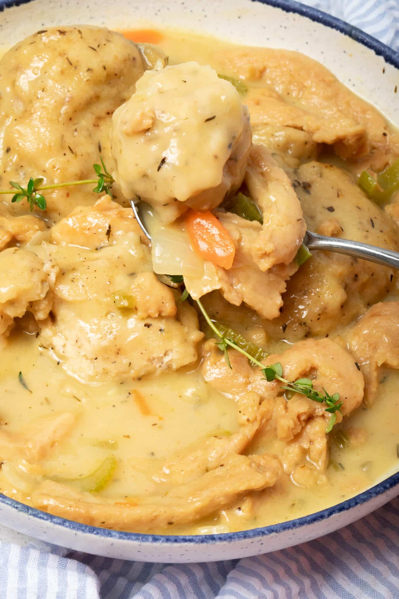Vegan Chicken and Dumplings ZardyPlants