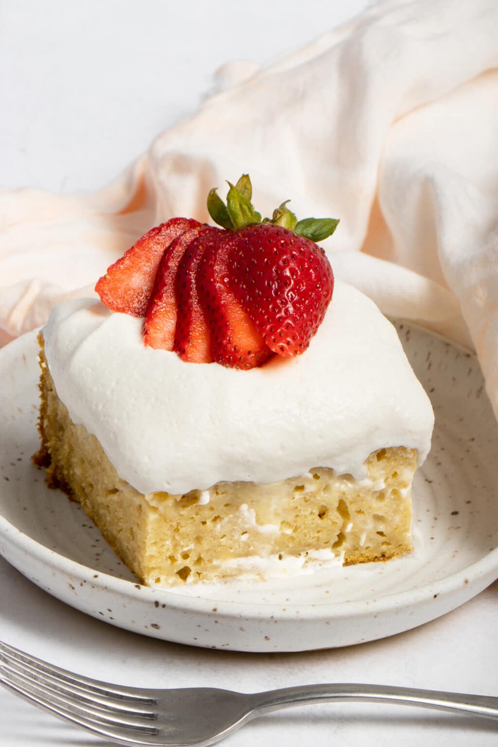 Vegan Tres Leches Cake - Vegan and Oil-free Recipes - ZardyPlants