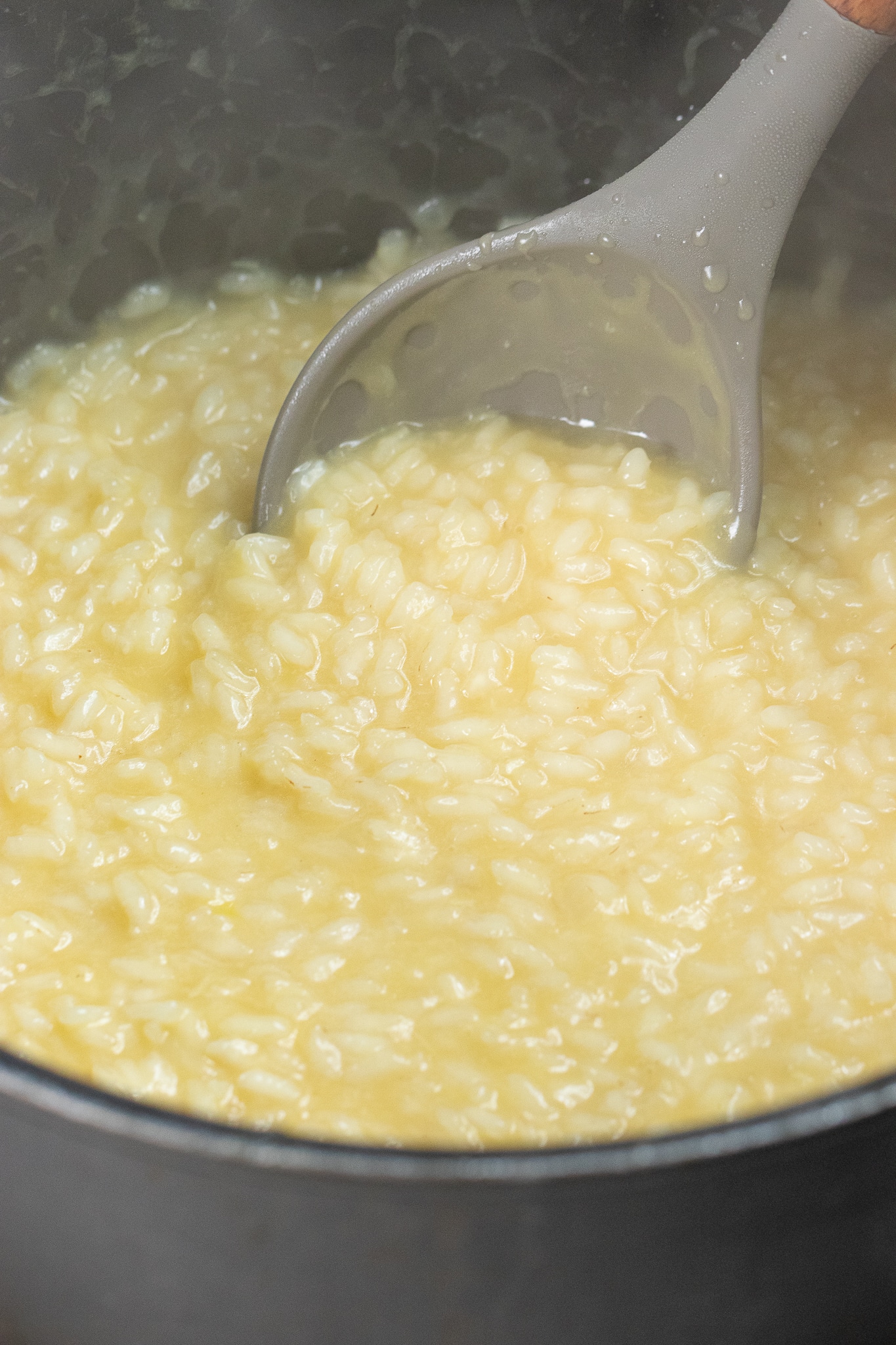 Garlic Risotto ZardyPlants