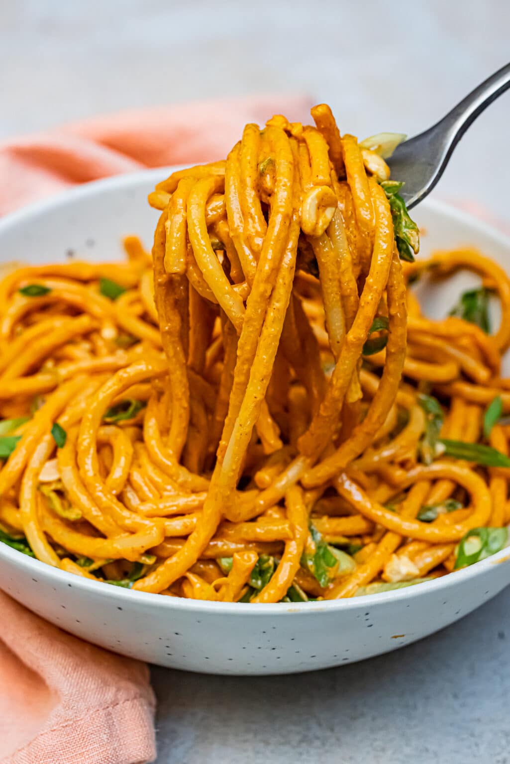 Vegan Peanut Noodles - ZardyPlants