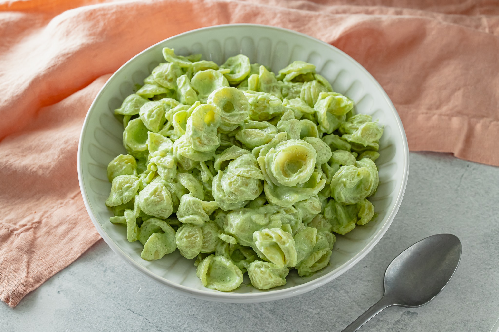 Broccoli Pasta Sauce For an Easy Dinner! - ZardyPlants