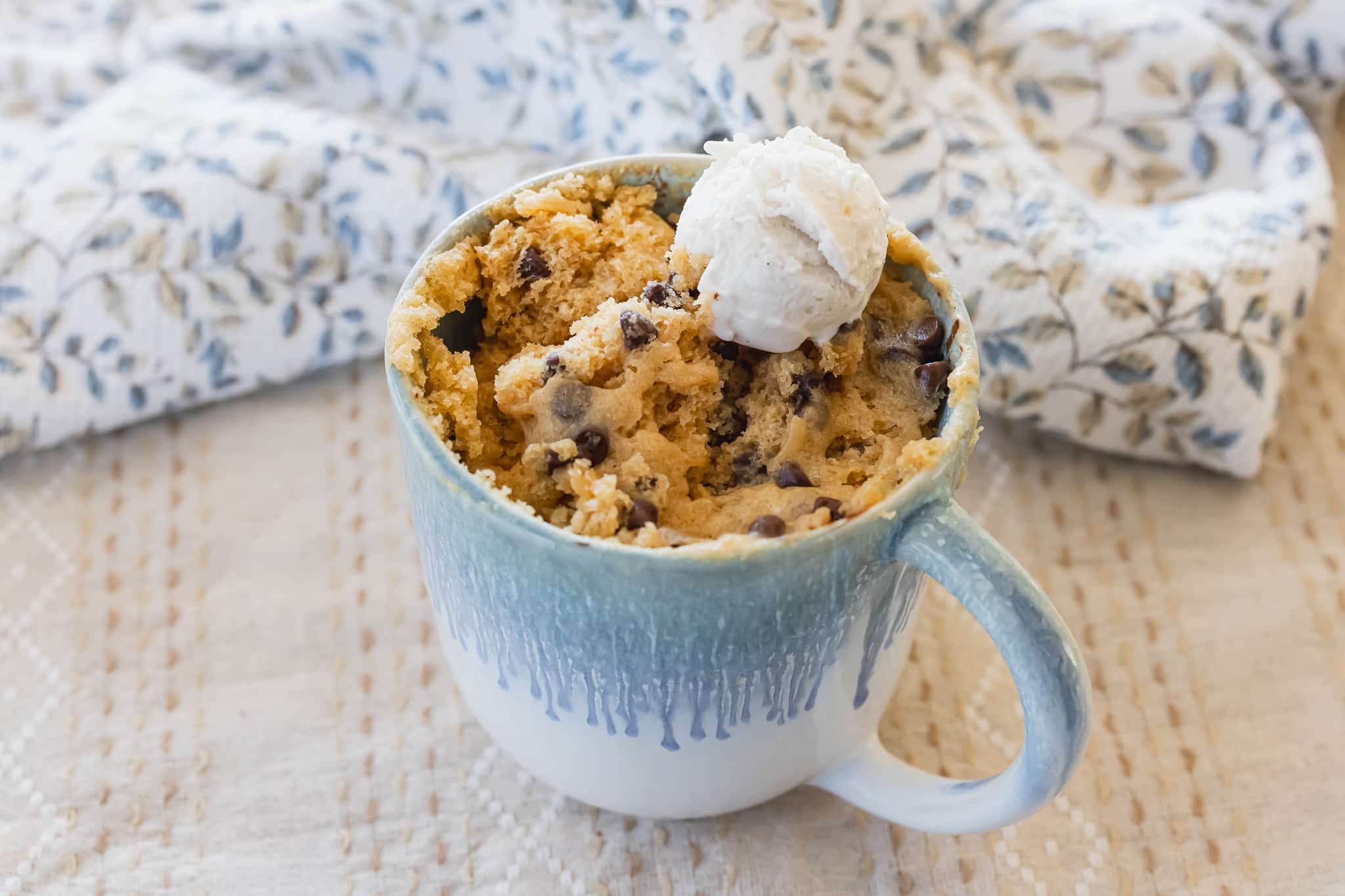 Vegan Peanut Butter Mug Cake - ZardyPlants