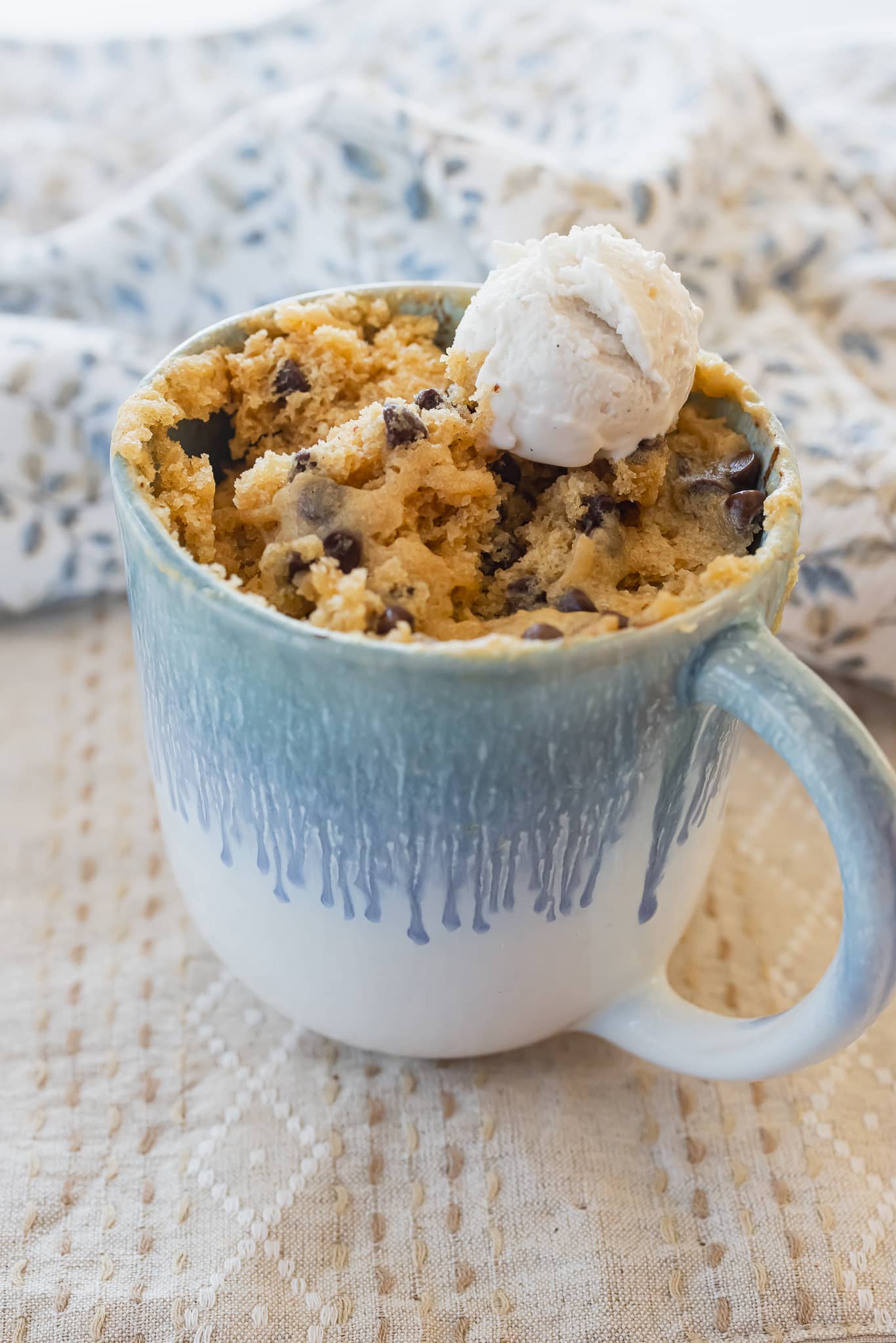 Vegan Peanut Butter Mug Cake - ZardyPlants